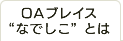 OAブレイスなでしことは